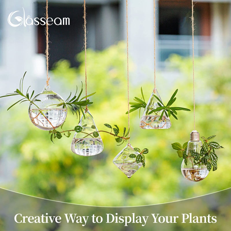 Glasseam Hanging Planters Glass Terrarium: 5Pcs Modern Plant Propagation Stations Hydroponic Wall Vases for Air Plants Flowers Indoor Window Home Decor - Image 3